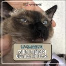 방학동물외과센터 이미지