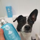 (주)티에스트릴리온 이미지