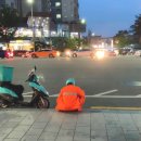 제비오는날