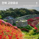 장수주단