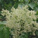 우산공원길 이미지