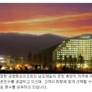 금호화순리조트 콘도미니엄 네이버블로그