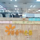 대전유성구[봉숭아손톱] 네일아트 후기♡추천!+가격/엑스포코아점