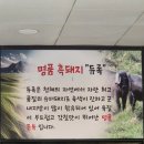 할매 솥뚜껑 삼겹살(망포점) 이미지