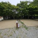 내장산국립공원 내장야영장 | 여름 내장산 국립공원 내장야영장 44,45 캠핑 벌레주의