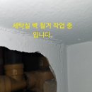 그린아파트 114동 408호 세탁실 비트속 하수관 누수 공사. 티자 부분 에서 싱크대 연결 메인관 으로 가는 가는. pvc50mm관 이미지