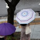 소나기 이미지