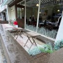 카페노이 이미지