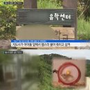 제기센터