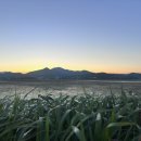 주남저수지 이미지