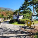주막거리캠프 이미지