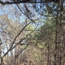 야미하우스 이미지