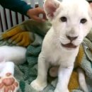 루카농장 이미지