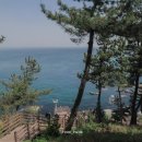 롯데리조트 속초 이미지