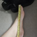 엘칸토롯데 - 창원시 성산구 중앙대로 124 | 여성여름샌들 [엘칸토 마쯔 여성 투밴드 경량샌들] 솔직후기