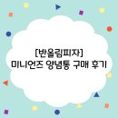 [반올림]미니언즈 양념통 구매 후기