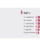 알이피씨 이미지
