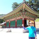 흥령선원지 이미지