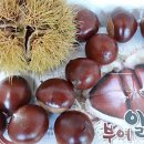 서도농장 이미지