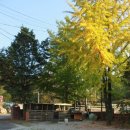 귀거래가든 이미지