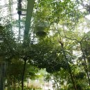 사계절 내내 식물이 자라는 춘천, 강원도립화목원 반비식물원 안에 있는 난대식물원. 이미지