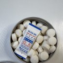 심플릿 | 휴대하기 좋은 여행용 치약 심플럿 고체치약 후기