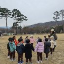 숲체험-용인자연휴향림 이미지