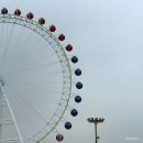 금호훼밀리관광호텔 | 이부자마약곳간/보사노바커피로스터스/카시아속초 호텔/속초해수욕장/대관람차/호라이즌/사우나/요가...