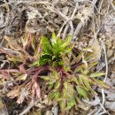 산수골농장 이미지