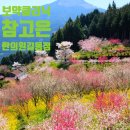 참고은한의원 이미지