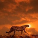 하얀쪽배 이미지