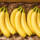 이서카센타 이미지