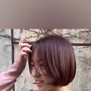 라시옹 이미지