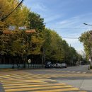 황인섭내과의원 이미지