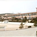 흥도초교 이미지