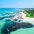 자락협재 이미지