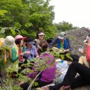 먹구가자 이미지