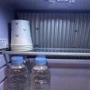 브라운도트 울산 삼산점 | [울산숙소추천] 브라운도트 울산삼산점 내돈내산 솔직후기