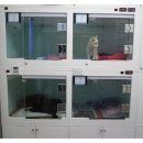 구로종합동물병원 이미지