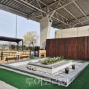 주경기장 이미지