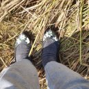 상읍농장 이미지