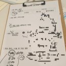 편하지의원 | 창원 편하지의원_하지정맥류 시술 상세후기 (내돈내산 솔직 후기 / 6개월 경과)