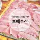인천 부평 시장 겨울 대방어 회 맛집 횟집추천 보배수산(+ 내돈내산 / 보배회수산)