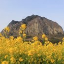 파인빌펜션 이미지