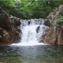 후회 없이 사는 삶 이미지