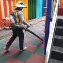 대구관문초교 병설유치원 이미지