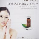 햄프코리아
