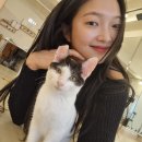 다루군산점 | 동태탕맛집/청풍명월/익산노아폴댄스/백년오리/아이패드중고후기/씨지프압생트투