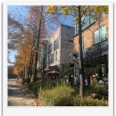 단지앞행운공인중개사사무소 이미지