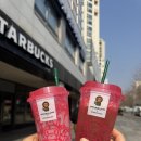 인덕대가 | 💗 스타벅스 베이비 마일로 리유저블컵 / 대기 꿀팁, 인덕대점 평일 성공후기 🐵☕